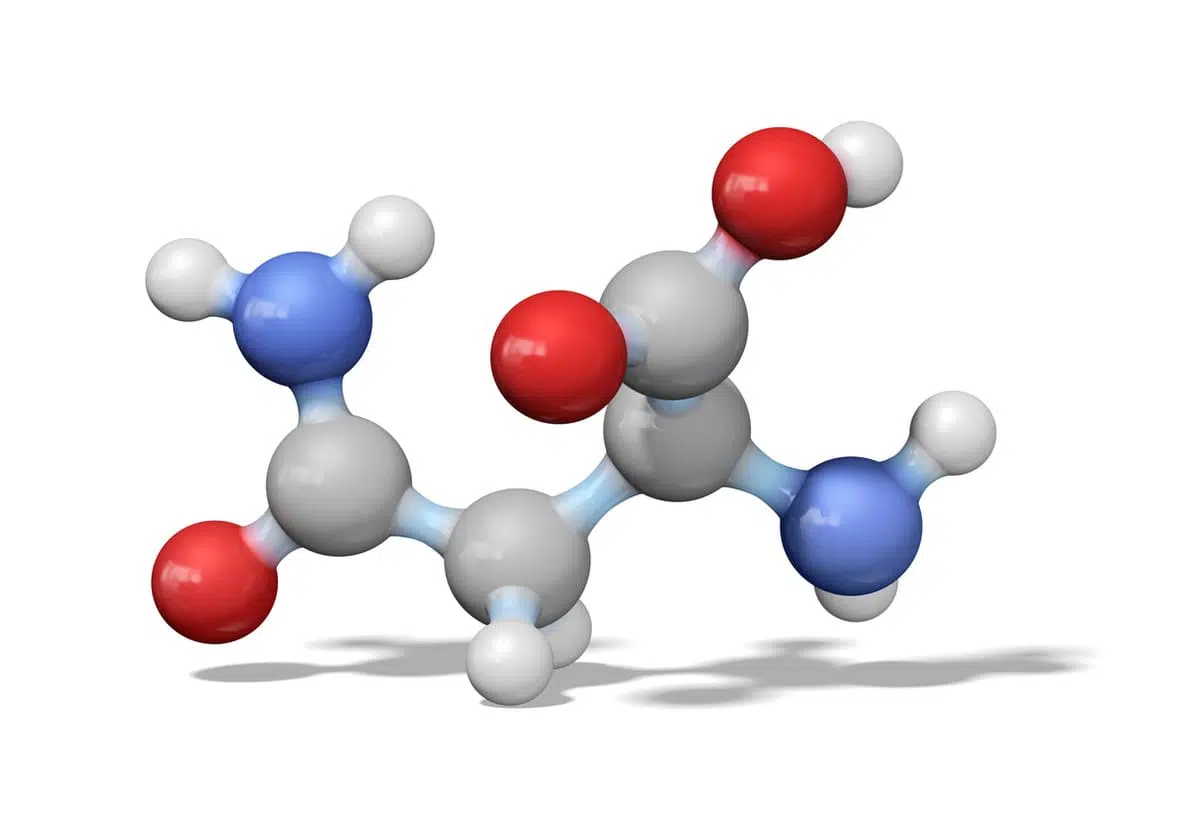 amino acids