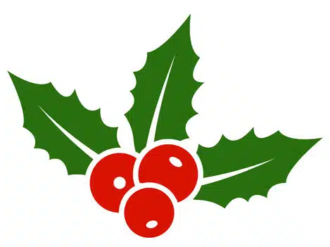 Holly