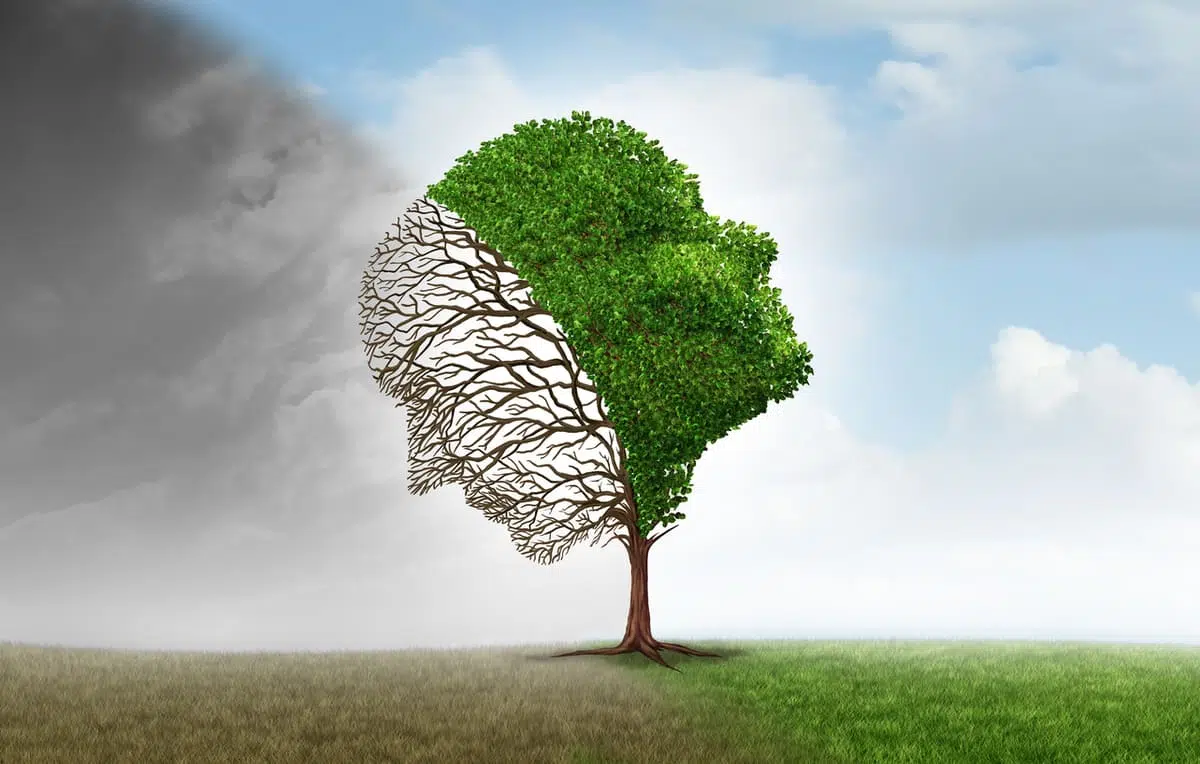 image of seasonal affective disorder, tree that's happy and sad