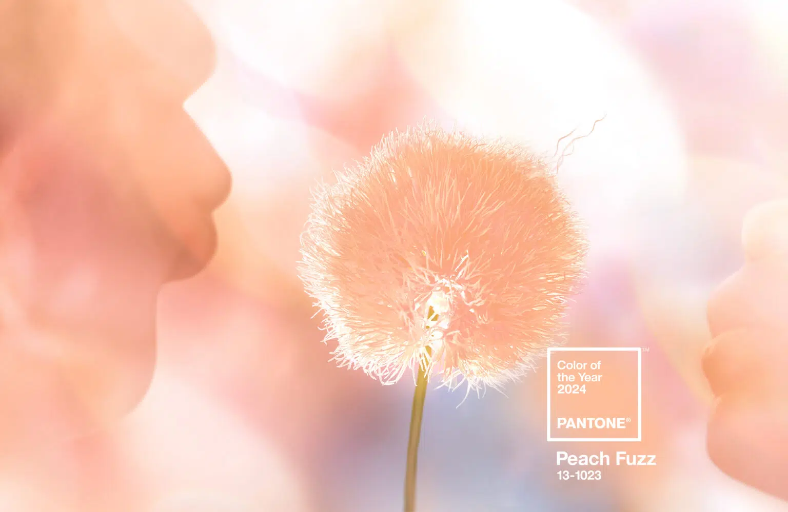 pantone color of the year 2024