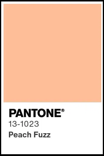 pantone thin border
