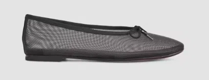 Everlane The Day Ballet Flats