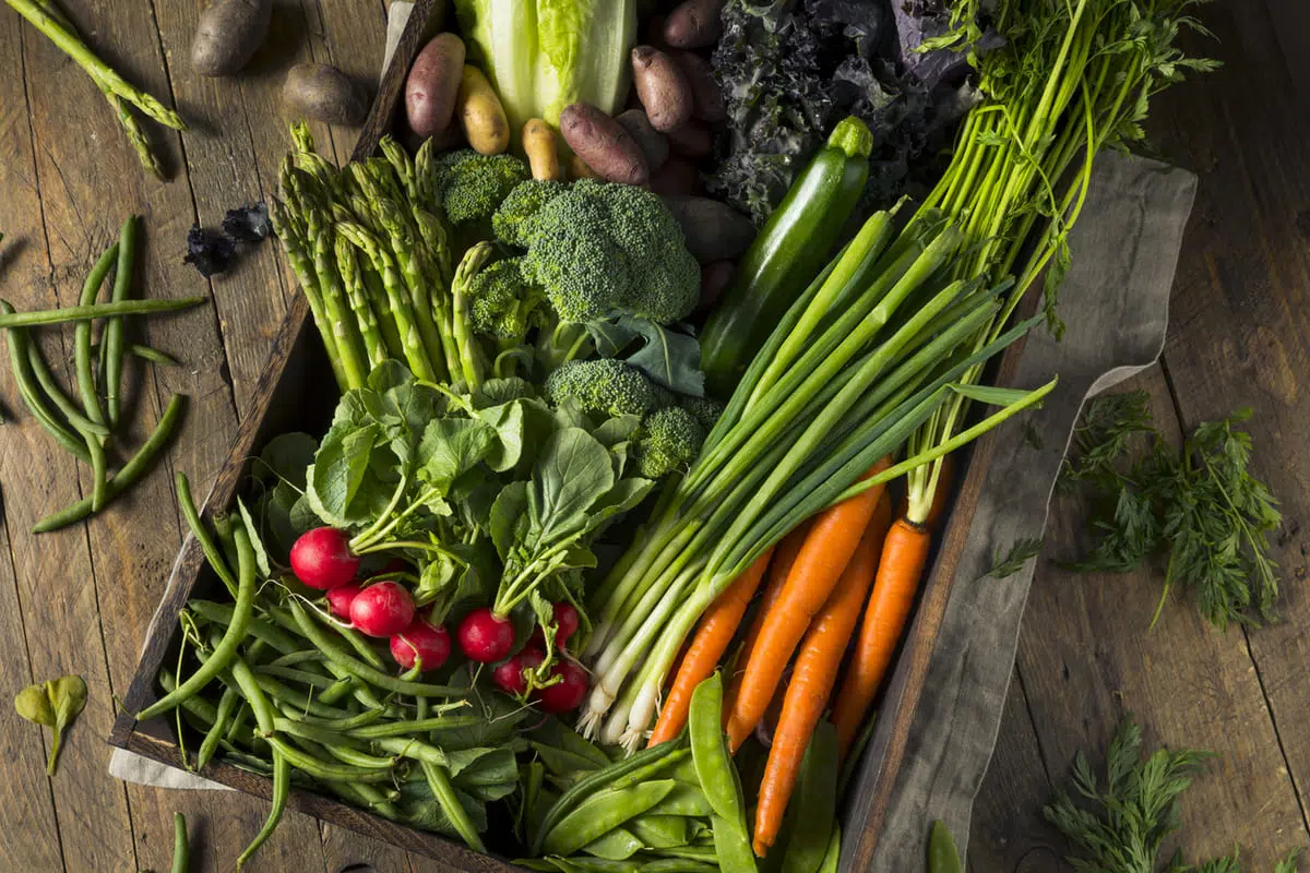 vegetables or plant-based diet