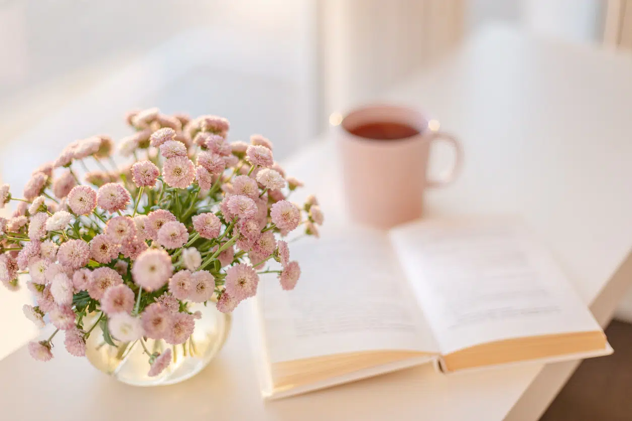 Sandy's Selections Book Recommendations for Spring Reading