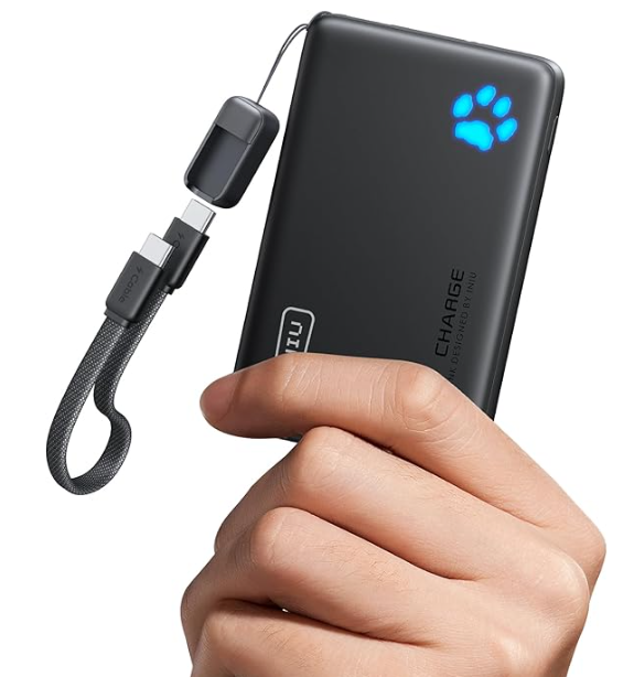 INIU Portable Charger, $19.99
