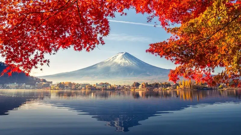 Luxury Escapes