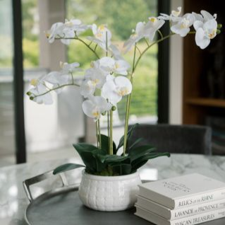 CG Hunter lifelike faux orchids