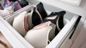 wireless bras FEATURE