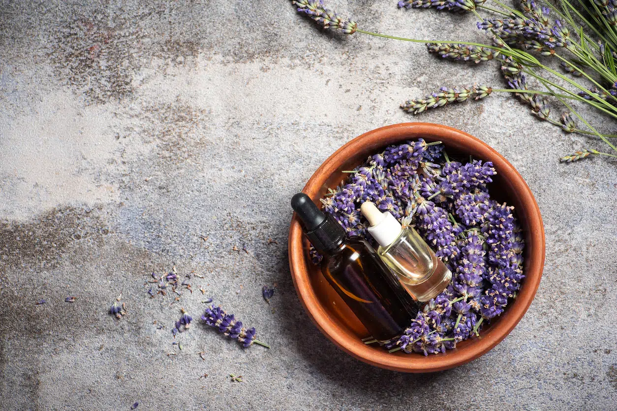 herbs that help skin