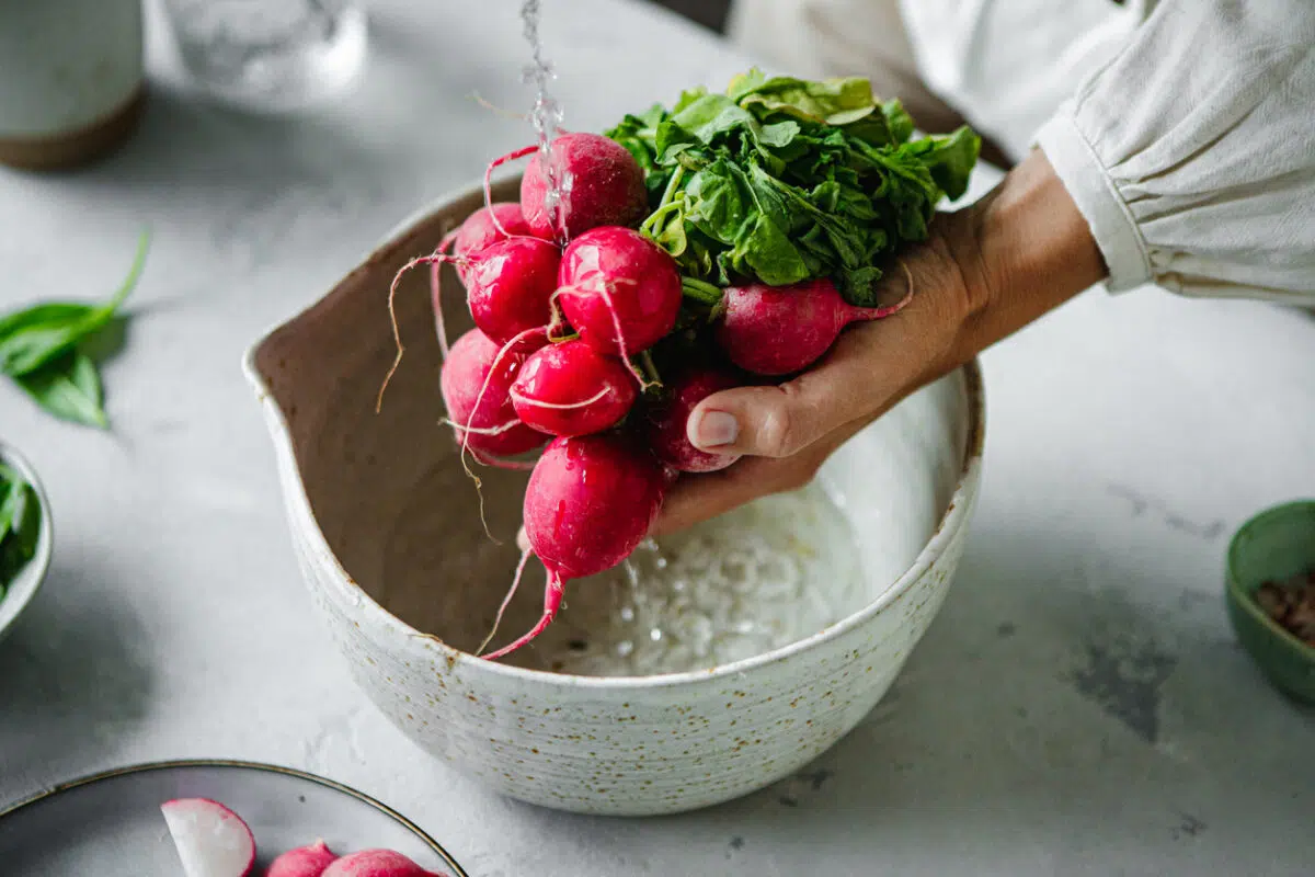 radishes