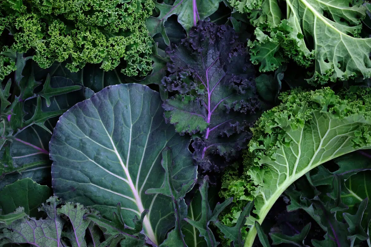 Leafy greens