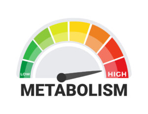 Boost Metabolism