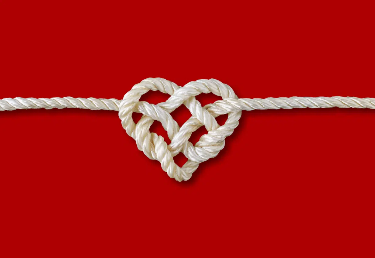 circulation, heart health