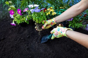12 Gardening Tips for a Thriving Home Garden