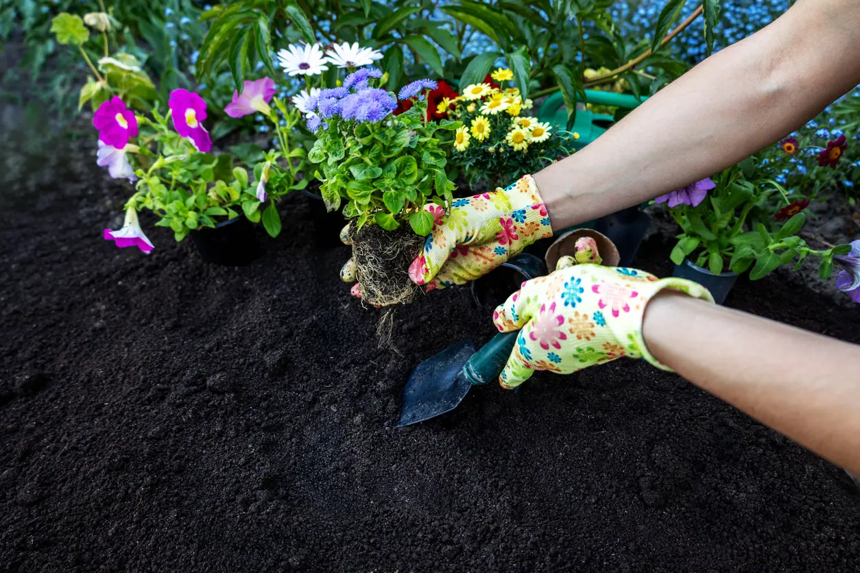 12 Gardening Tips for a Thriving Home Garden