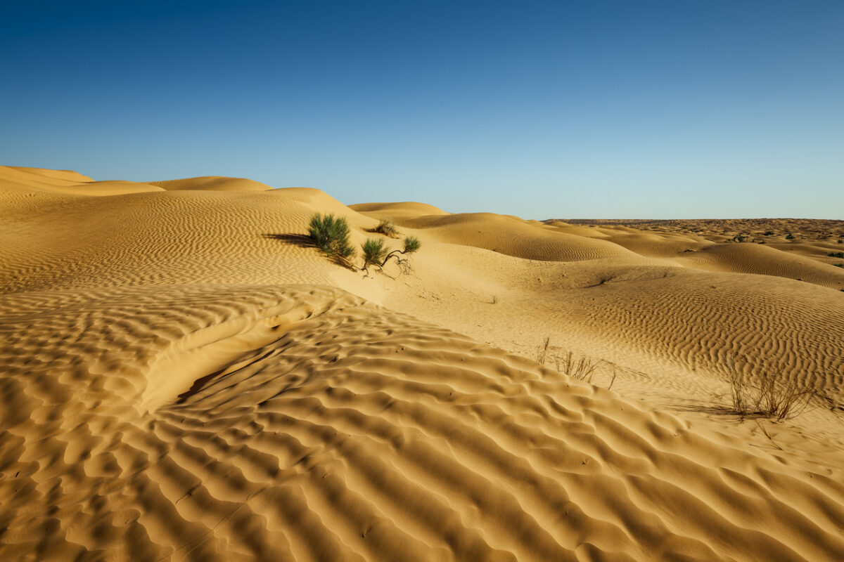 Sahara Desert