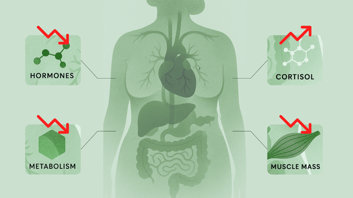 SPROUT HEALTH metabolism hormones
