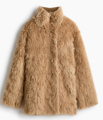 H&M Stand-Up Collar Coat, $99