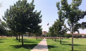 When Should You Start Visiting Colleges? A Realistic Timeline for Parents