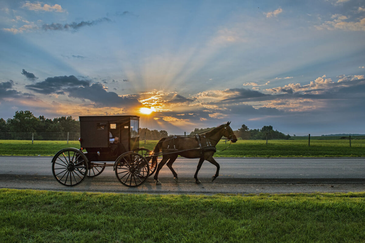 Amish eating habits we need too