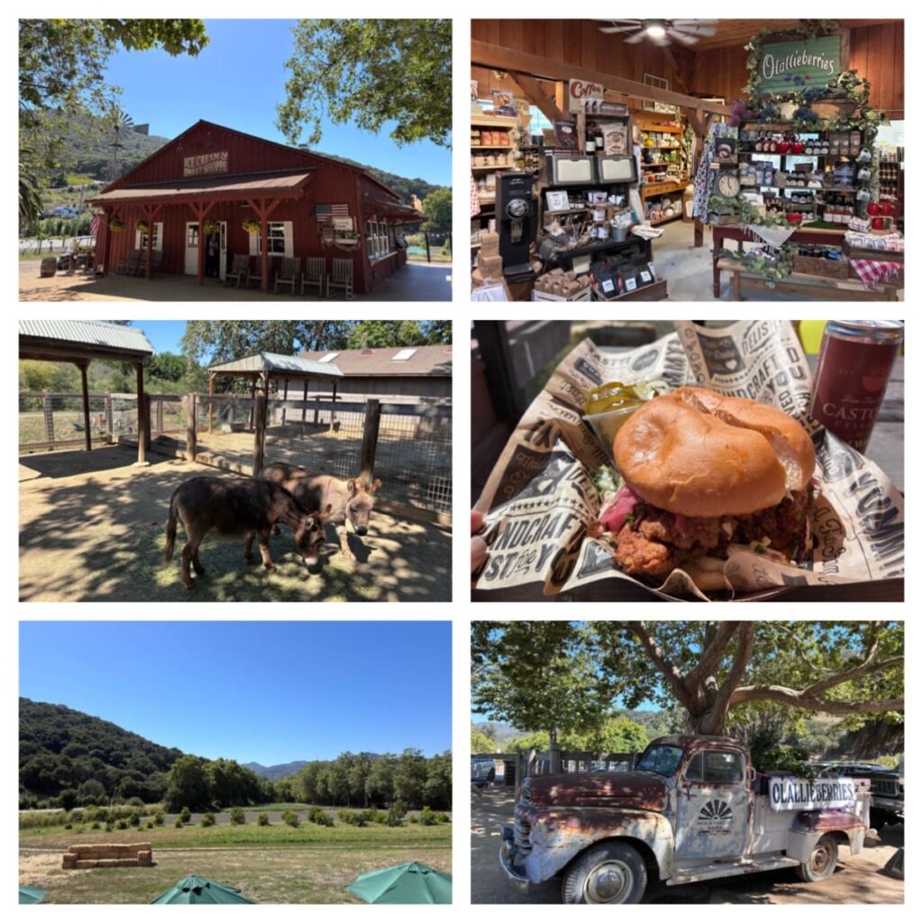 Avila Valley Barn