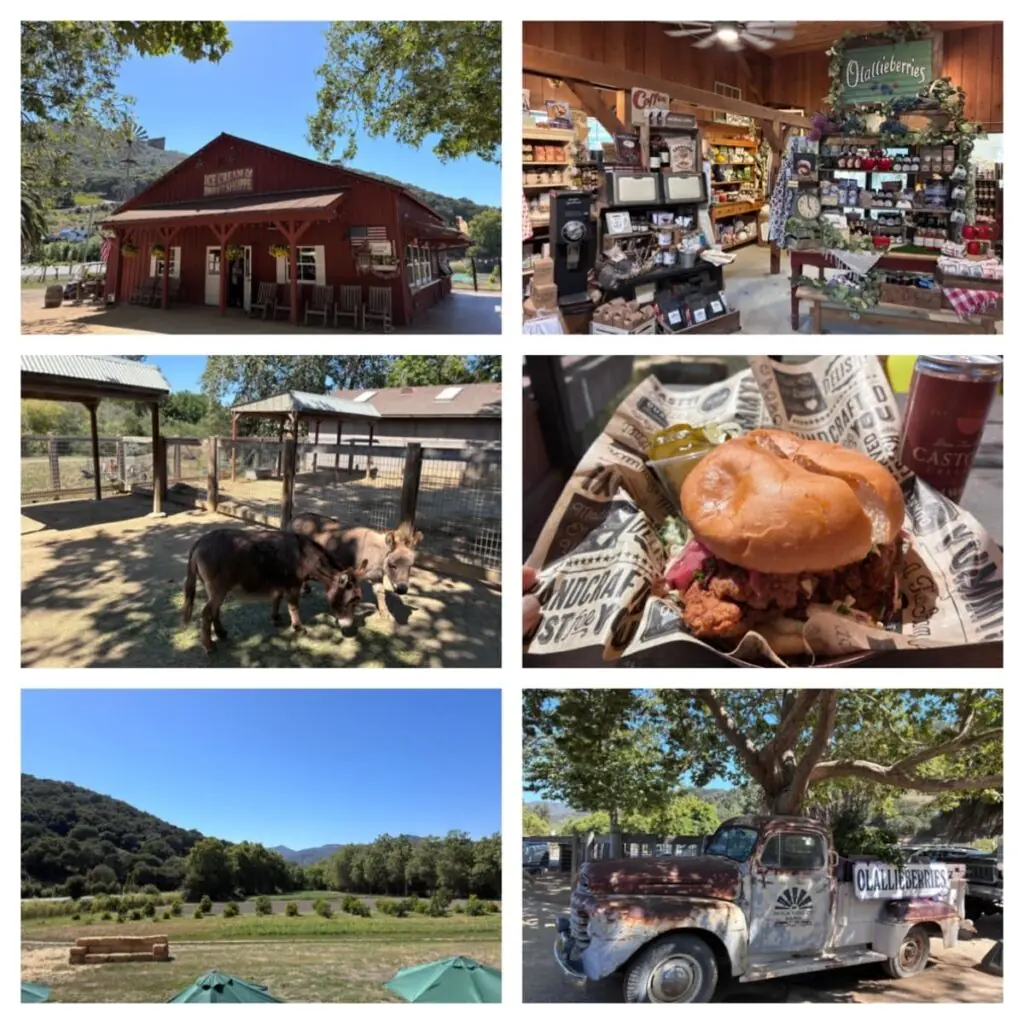 Avila Valley Barn