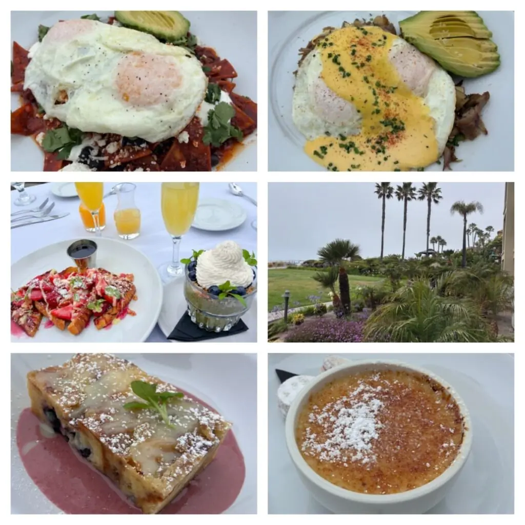 Champagne Brunch at Lido at Dolphin Bay