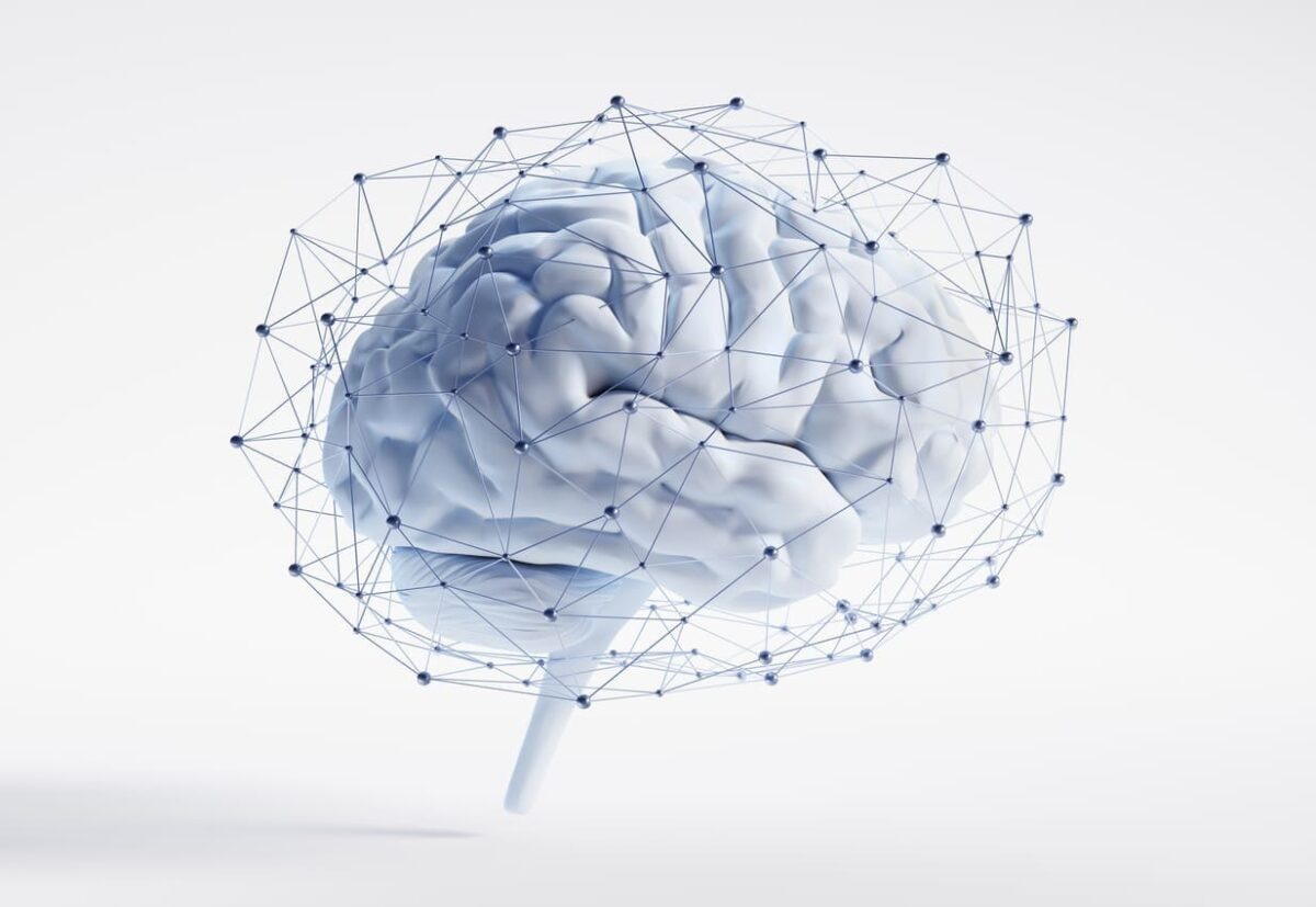 strengthen neural connections