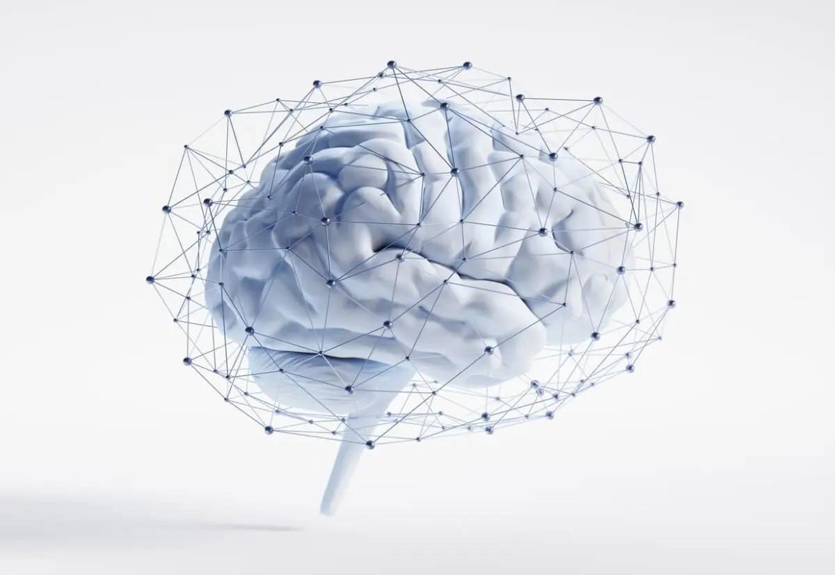strengthen neural connections