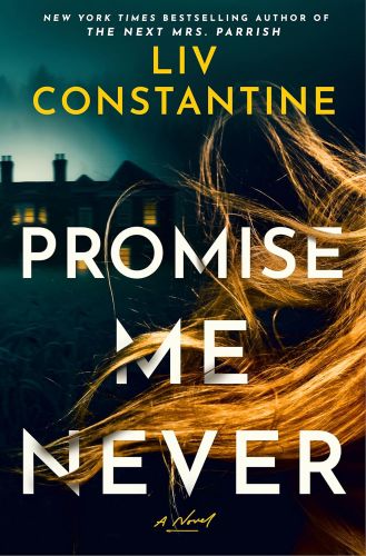 Promise Me Never Liv Constantine fall books