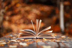 Sandy's September Selections: 5 Fall Books
